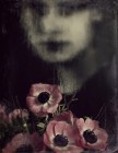 Heike Mardo<br><p class='title'>Anemonis</p>, 2013<br>Fotografie / Acrylglas<br> 80 x 60  cm