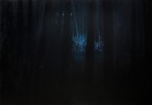 Berthold Bock<br><p class='title'>Nachtwald</p>, 2013<br>Öl auf Leinwand<br> 110 x 170  cm
