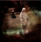 Jörg Klaus<br><p class='title'>29 Palms to Springtime 03</p>, 2006<br>C-Print<br> 70 x 70  cm