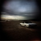 Jörg Klaus<br><p class='title'>29 Palms to Springtime 08</p>, 2006<br>C-Print<br> 70 x 70  cm